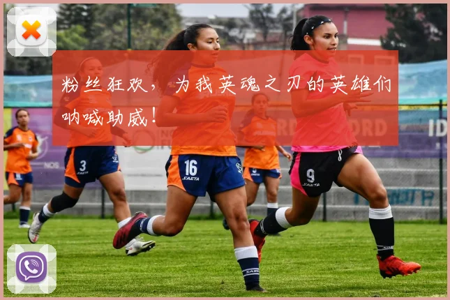 粉丝狂欢，为我英魂之刃的英雄们呐喊助威！