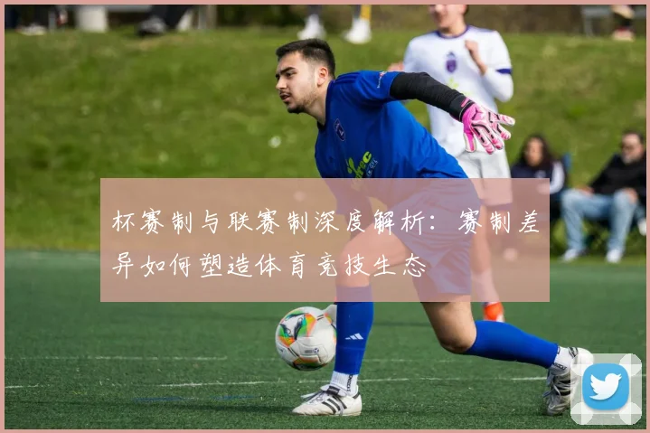 杯赛制与联赛制深度解析:赛制差异如何塑造体育竞技生态