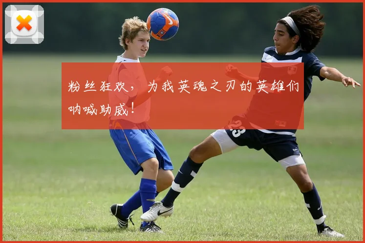 粉丝狂欢,为我英魂之刃的英雄们呐喊助威!
